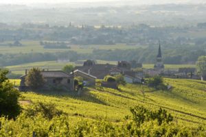 Beaujolais offers charming small towns