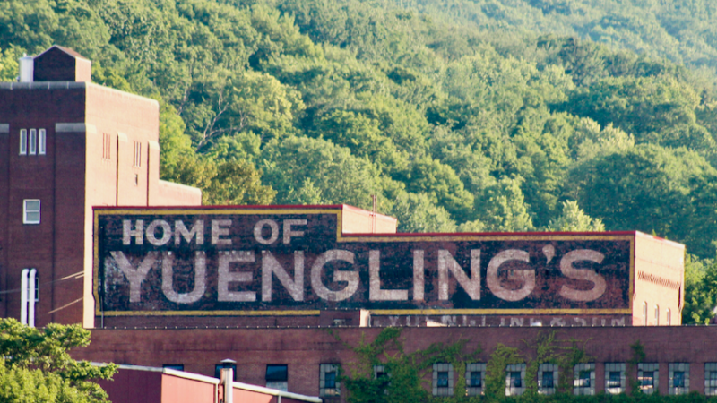 yuengling.webp